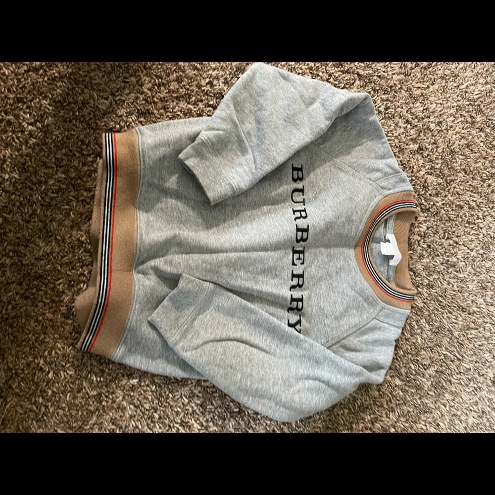 Burberry hoodie